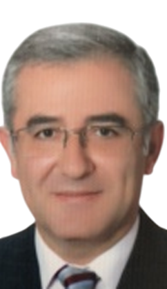 Mr. Prof. Dr. Ekrem ERDEM